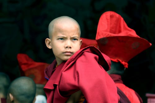 Immagine gratuita di bambino, buddha, monaco
