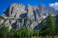 Green Trees Near Mountain