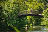 一对夫妇在宁静的公园里，拥抱在郁郁葱葱的绿色植物中的美丽桥上