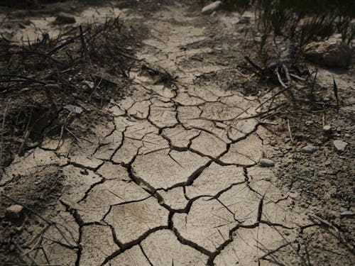 Free Cracked on the Dried Soil  Stock Photo