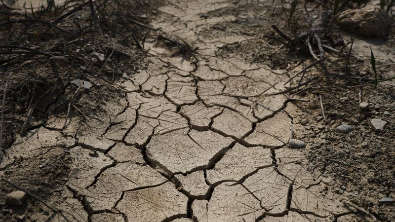 Detailed close-up of cracked, dried earth depicting drought and climate change effects.