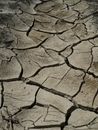 global warming and drought in nature