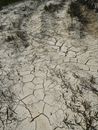 global warming and drought in nature