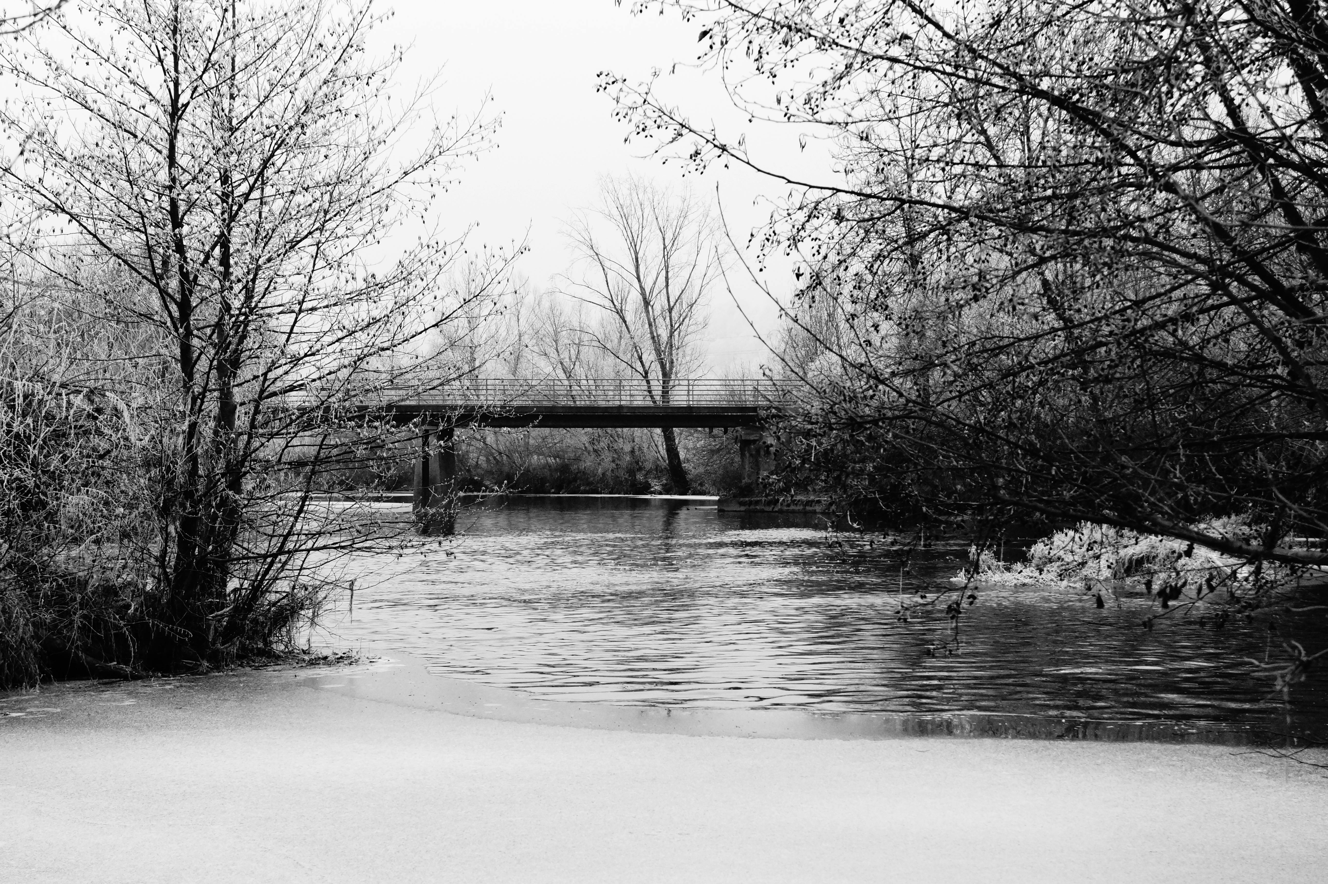 Foto Stok Gratis Tentang Jembatan Pemandangan Musim Dingin