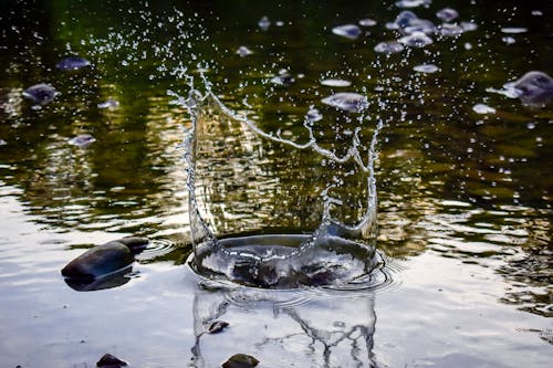 Splat Of Water Zdjęcie