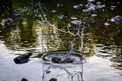 Ingyenes stockfotó csobbanás, folyó, h2o témában