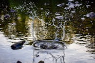 平静的河流中泛起迷人的水花，四周岩石环绕，倒影清晰