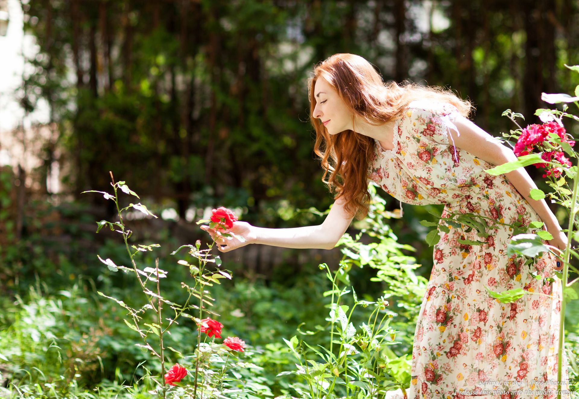 A woman in a floral dress bends to admire roses in a bright and vibrant garden.