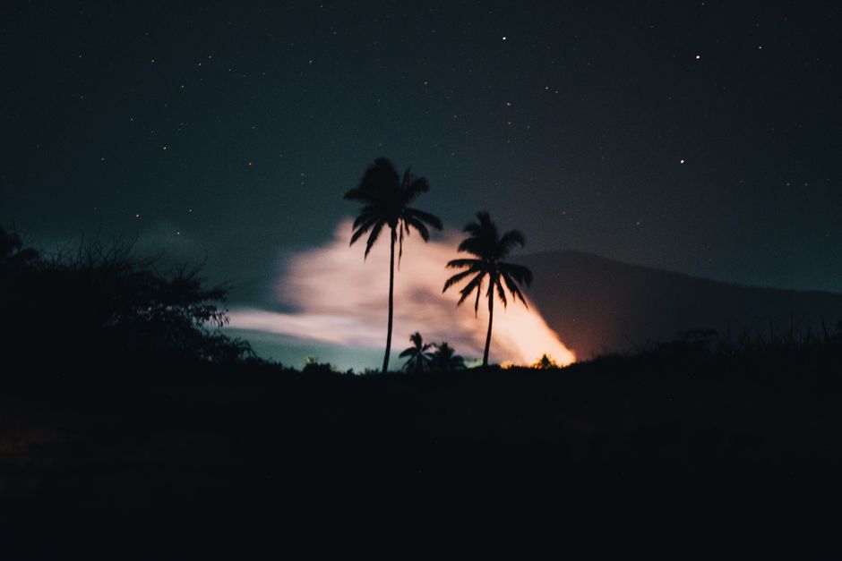 Silhouetted palm trees against a dramatic night sky with soft starlight.