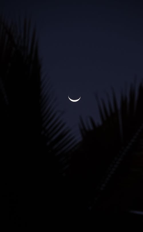 Crescent Moon Over the Night Sky