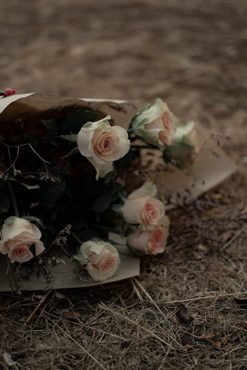 Foto profissional grátis de buquê de flores, chão, fechar-se