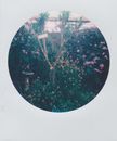 Photograph of Exhibition Garden in Round Passepartout