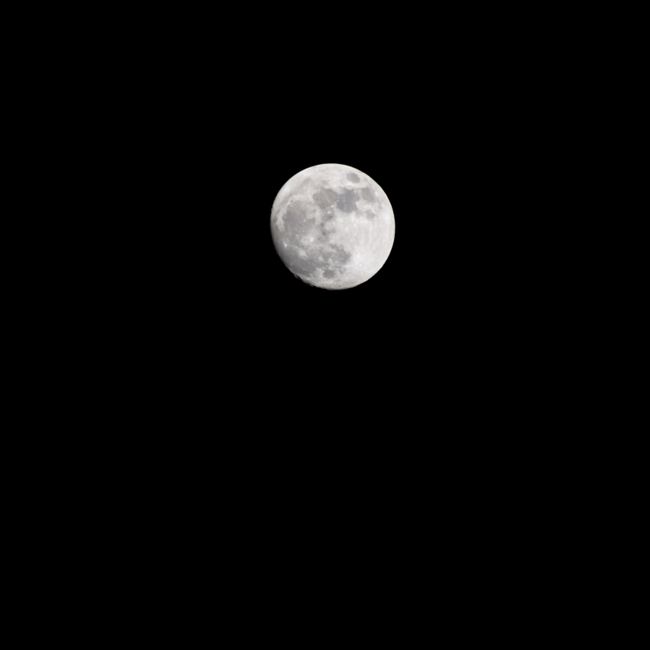 Fotomural Una luna llena clara en alta resolución capturada contra un cielo nocturno oscuro, mostrando detalles de la superficie lunar.
