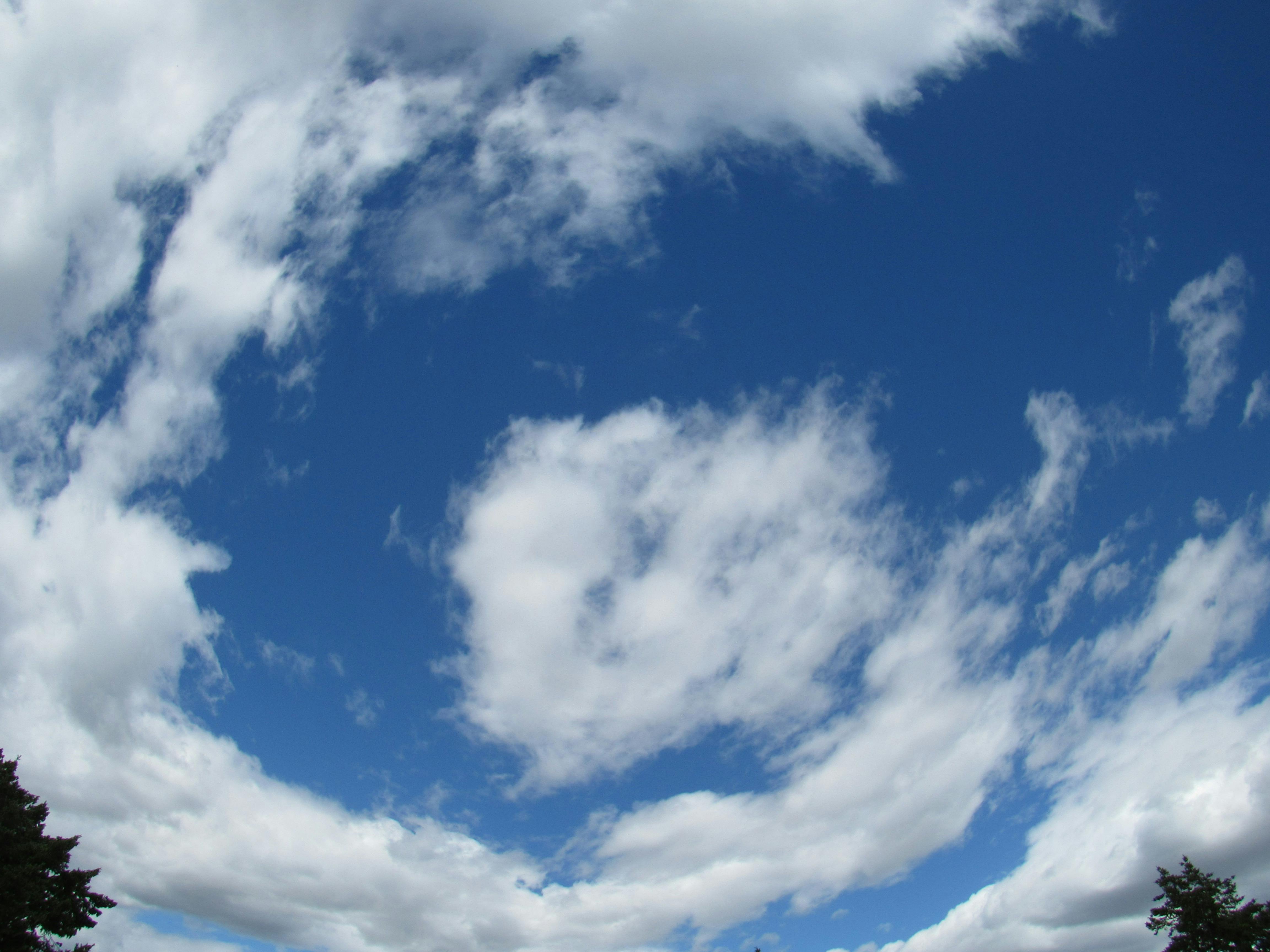 台北及全台血庫告急　春節前血液供應偏低