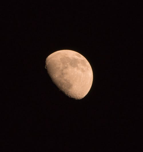 Free Moon on Night Sky Stock Photo