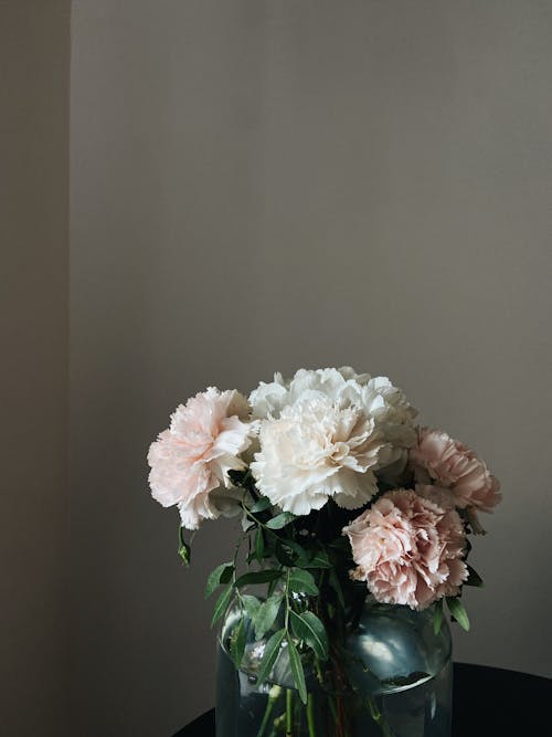 White and Pink Flowers in a Vase