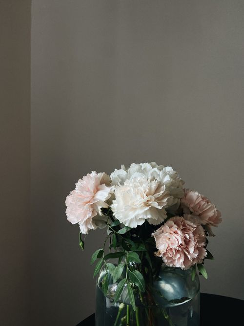 Free Aesthetic display of pink and white carnations in a glass vase with green leaves. Stock Photo