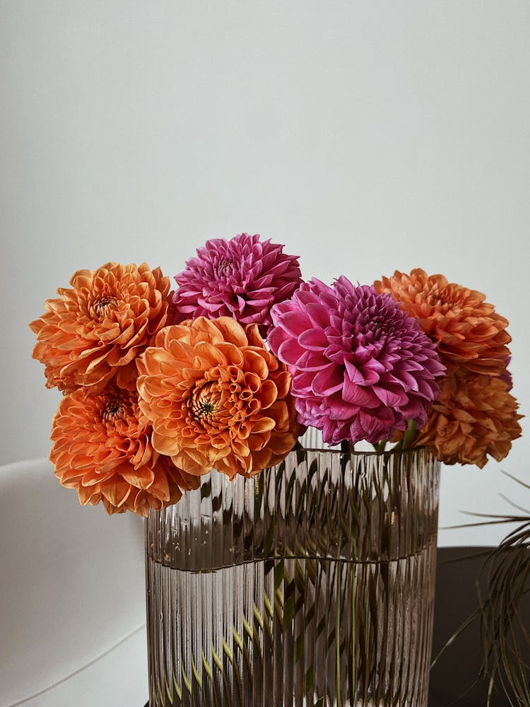 A Dahlia Flowers On A Glass Vase