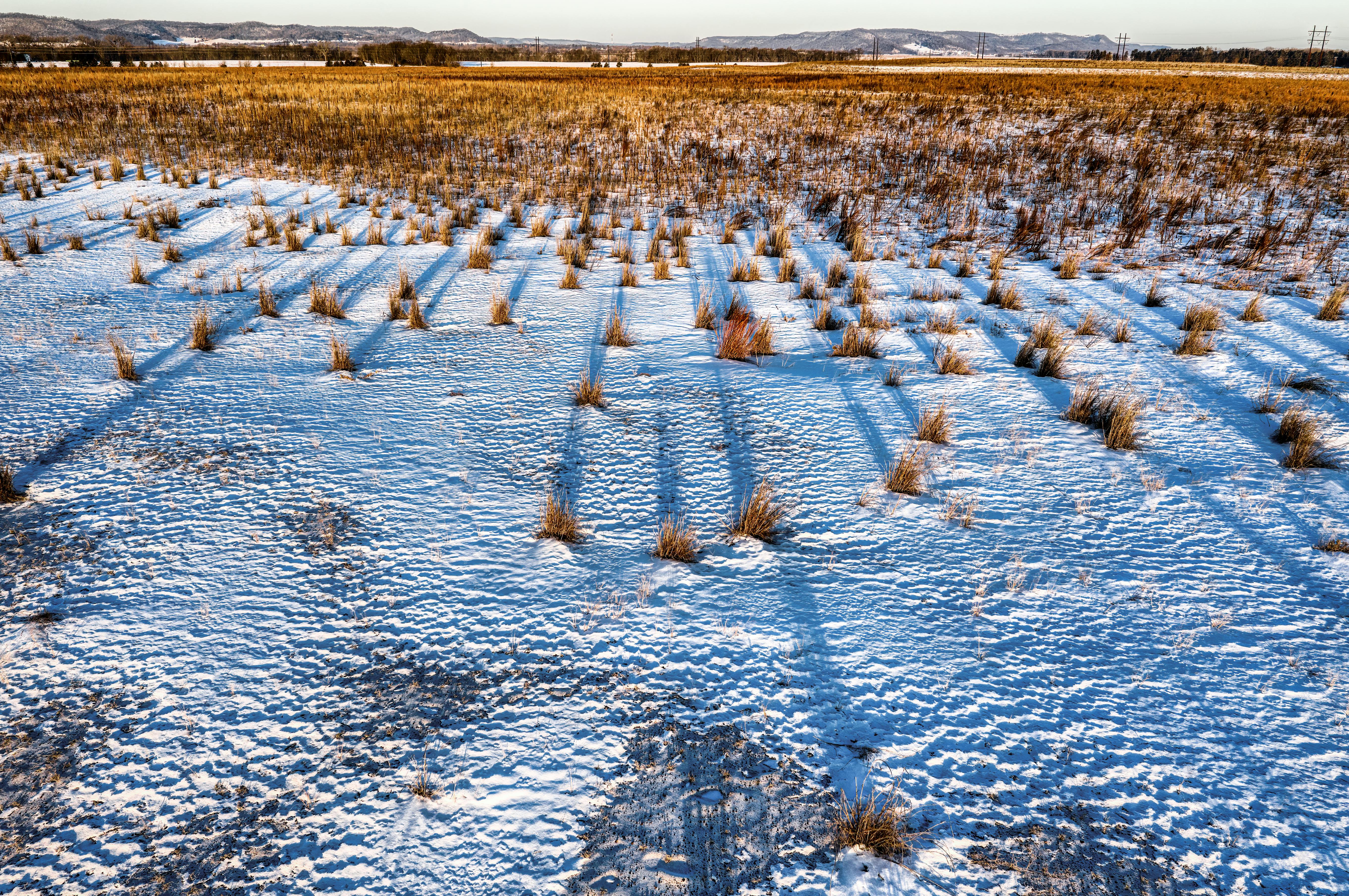 From Flurries to Blizzards: America’s Snow Forecast Unfolds