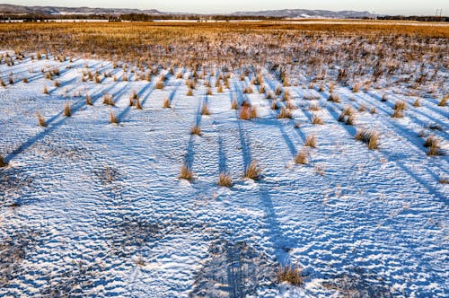From Flurries to Blizzards: America’s Snow Forecast Unfolds