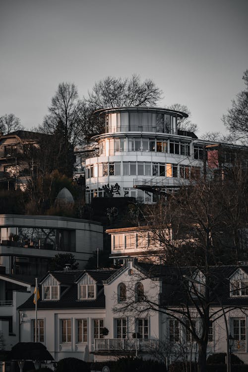 Concrete Buildings and Houses Surrounded by Bare Trees 