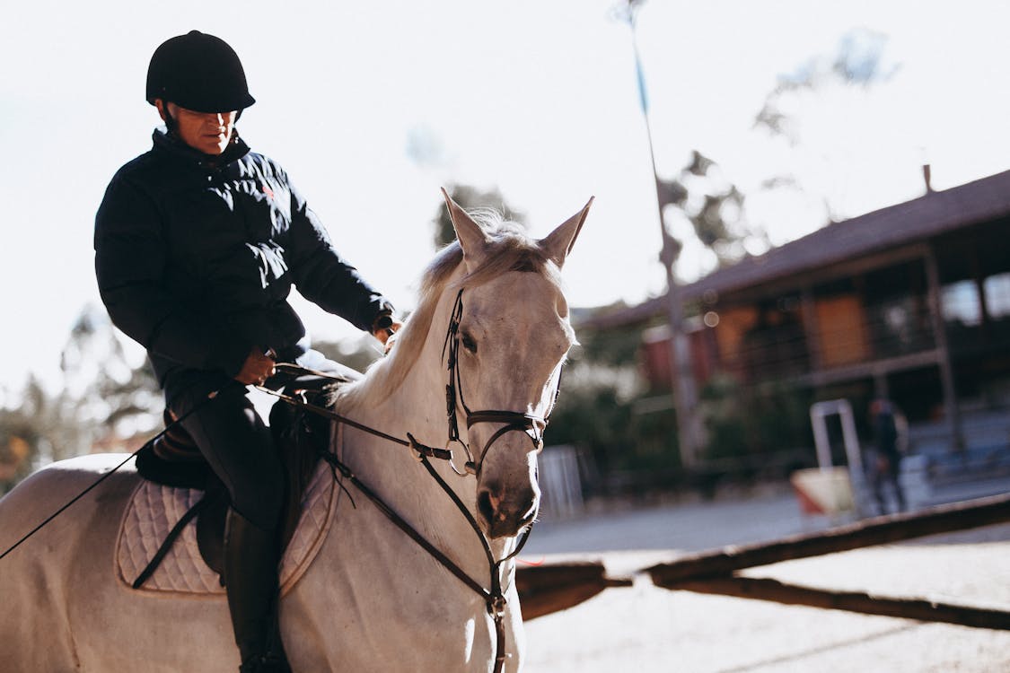 Man Riding on Horse