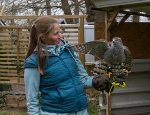 A falconer holding a hawk on her gloved arm outdoors — photo by Heino Schliep on Pexels