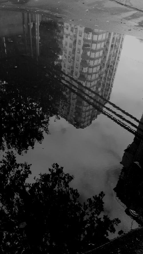 Foto profissional grátis de água, arranha-céu, bloco de apartamentos