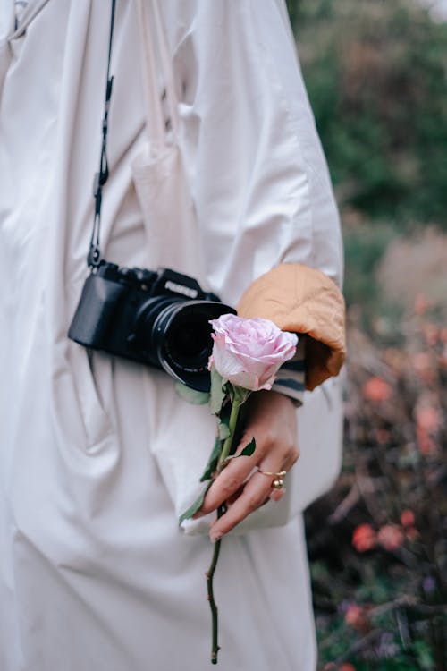 Kostnadsfri bild av blomma, håller, hand