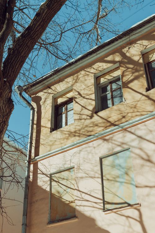 Free A low-angle view of a building facade under a clear blue sky, with intricate tree shadows. Stock Photo