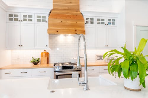 Kitchen Interior with White Wooden Cabinets and Marble Top Kitchen Island with Faucet Beside Green Plant