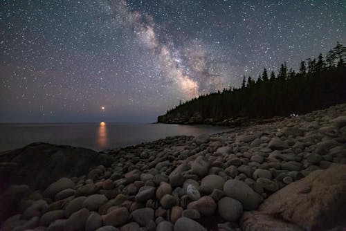 Foto d'estoc gratuïta de cel clar, Costa, estrelles