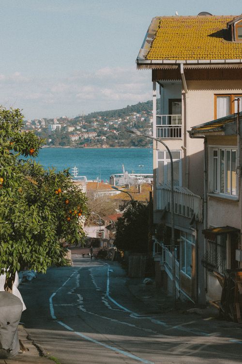 Free Charming urban street descends toward vibrant blue waterfront, framed by buildings and greenery. Stock Photo