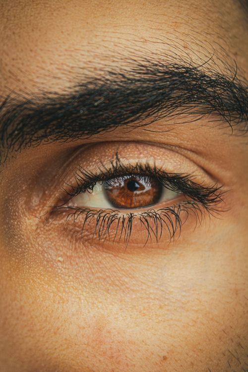 Free Detailed close-up of a brown eye showing eyebrow and eyelashes Stock Photo
