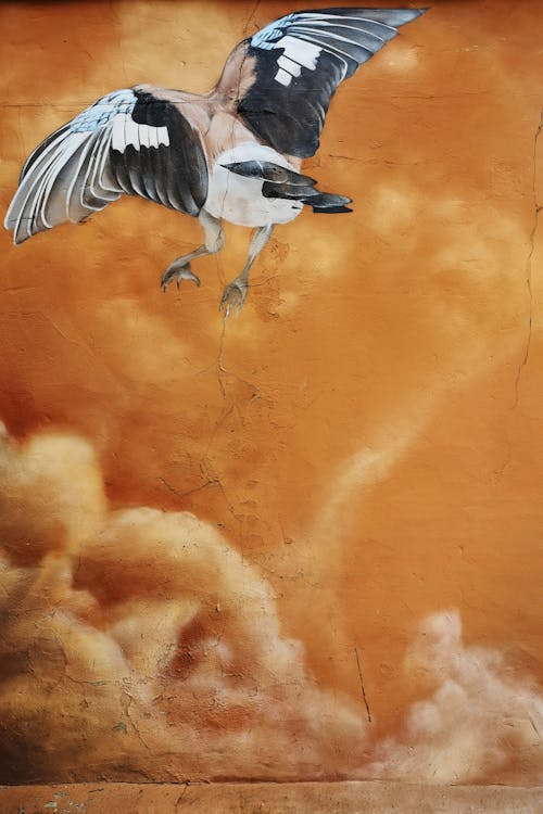 Free Immagine gratuita di arte di strada, ghiandaia, pittura murale Stock Photo