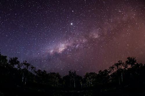 Ücretsiz ağaçlar, galaksi, gece içeren Ücretsiz stok fotoğraf Stok Fotoğraflar