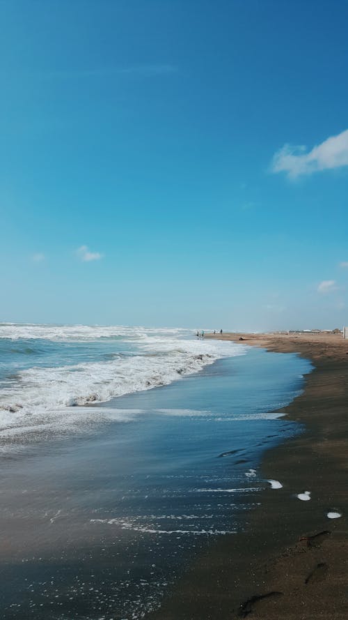 Immagine gratuita di acqua, cielo azzurro, litorale
