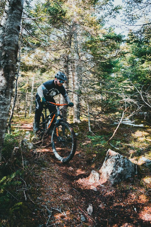 Man Using a Mountain Bike in the Forest