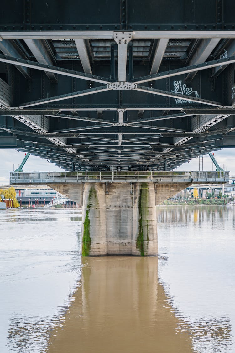 River Under The Bridge