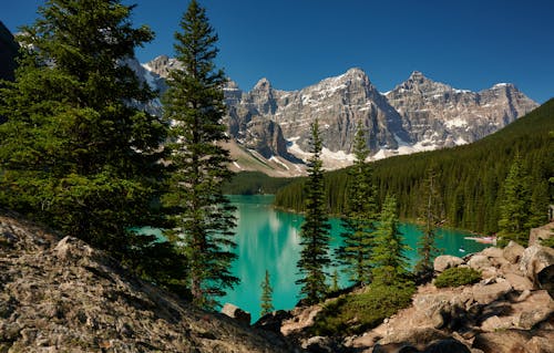 Stream in a Mountain Valley