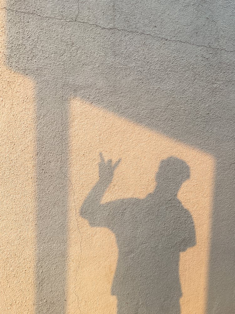 Shadow Of Gesturing Person