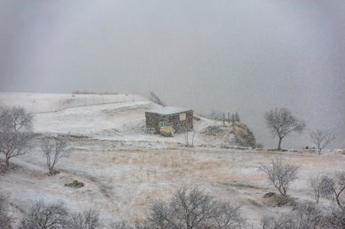 Foto profissional grátis de árvores nuas, casa, chão coberto de neve