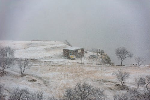 House on Snow Covered Ground 