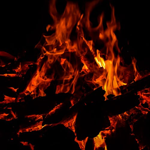 Free Burning Wood in Fire Pit Stock Photo