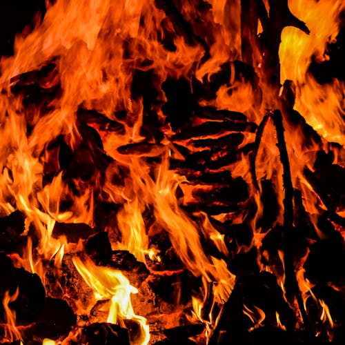 Close Up Shot of a Campfire · Free Stock Photo