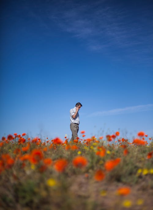 Man Walking on a Flower Field while on a Phone Call