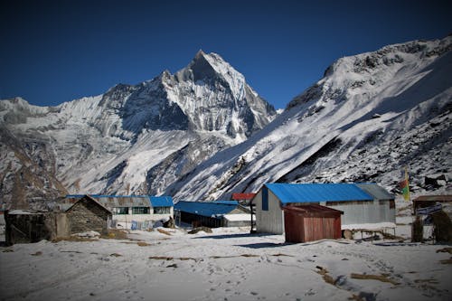 Základová fotografie zdarma na téma ghorepani poonhill trek, himaláj, sněhová hora