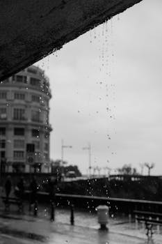 Black and white cityscape capturing raindrops and urban architecture.
