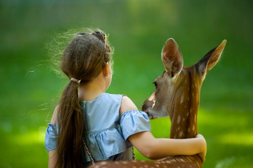 女孩穿著藍色上衣，用一隻手在一隻鹿