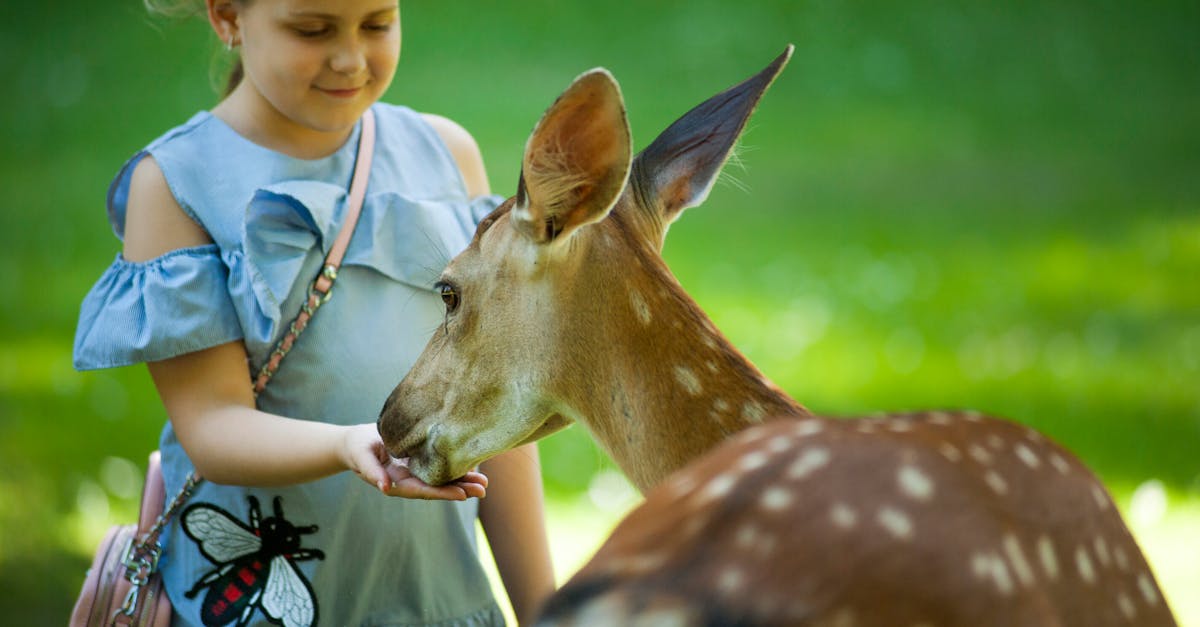 Wildlife